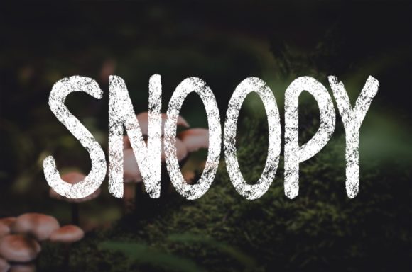 Snoopy: A Cute Brushed Display Font for Crafty Makers and Sellers
